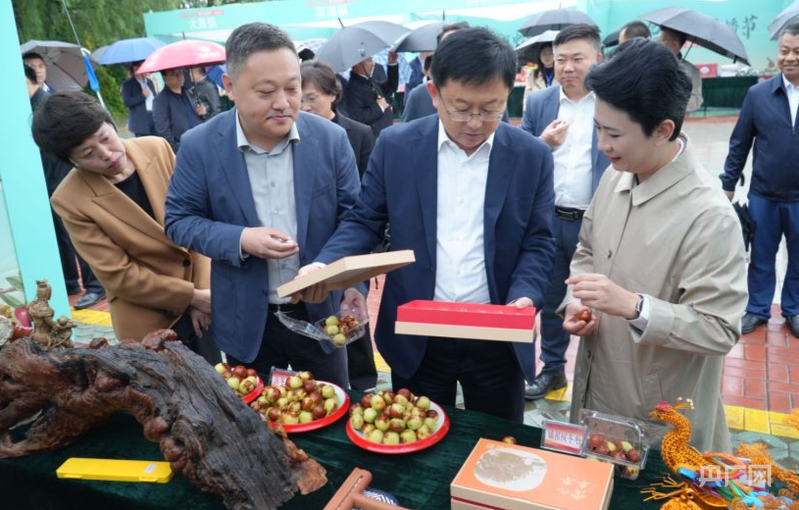 打造冬棗直播閉環(huán)產(chǎn)業(yè)鏈 沾化電商直播嘉年華正式啟動(圖3)