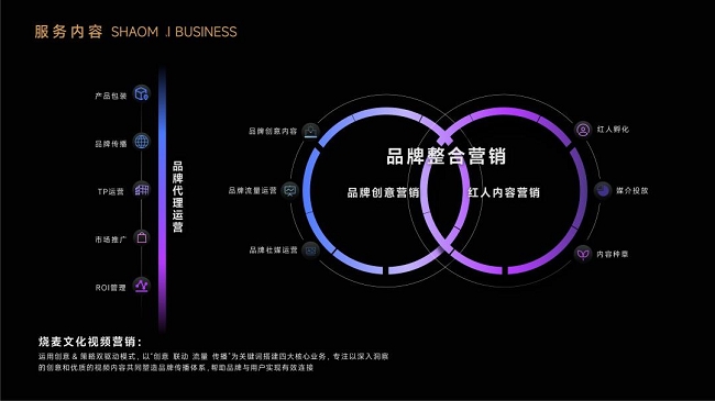 燒麥文化丨一站式內(nèi)容營(yíng)銷(xiāo)助力品牌贏得“人心紅利”(圖3)